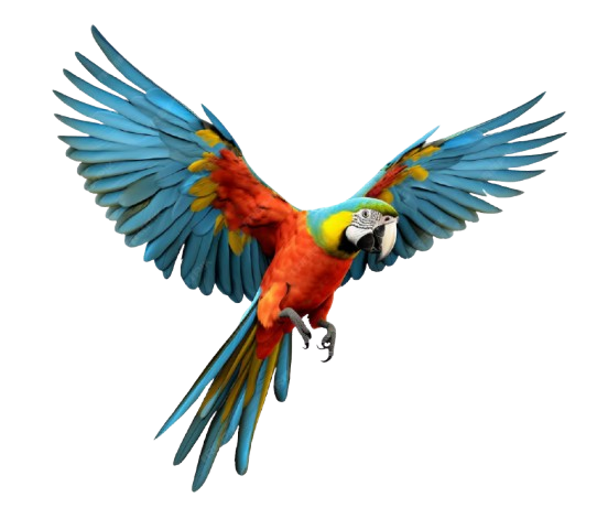 Flying macaw